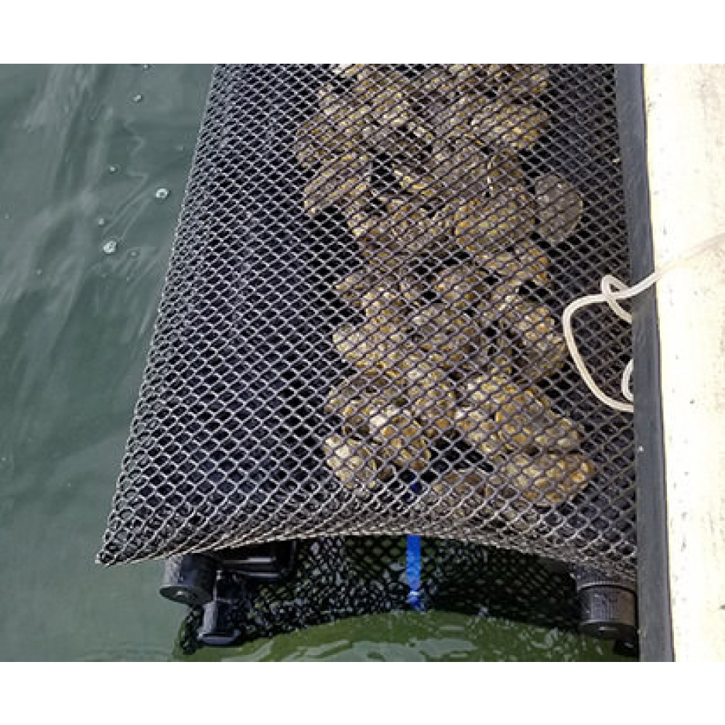 3/4″ Low Pro Grow Oyster Cage with Plastic Floats Outlaw Oysters